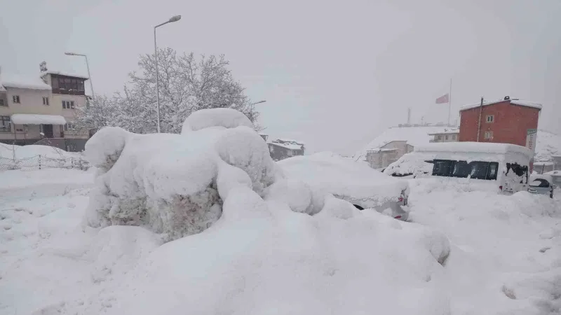 Hakkari’de 100 köy ve 194 mezra yolu kapandı