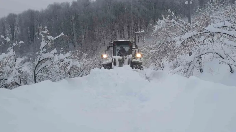 Düzce’de kar köy yollarını kapattı