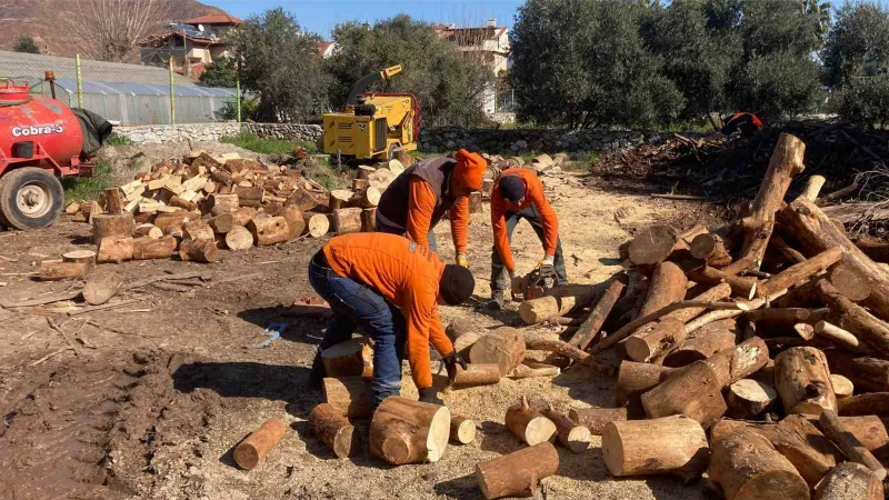 Marmaris’ten depremzedelere yakacak yardımı