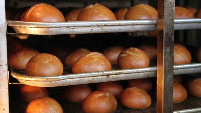Okulda her gün üretilen 10 bin ekmek depremzedelere ulaştırılıyor