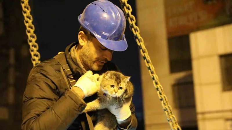 Bina enkazının yıkımı durduruldu, "Zena" isimli kedi kurtarıldı