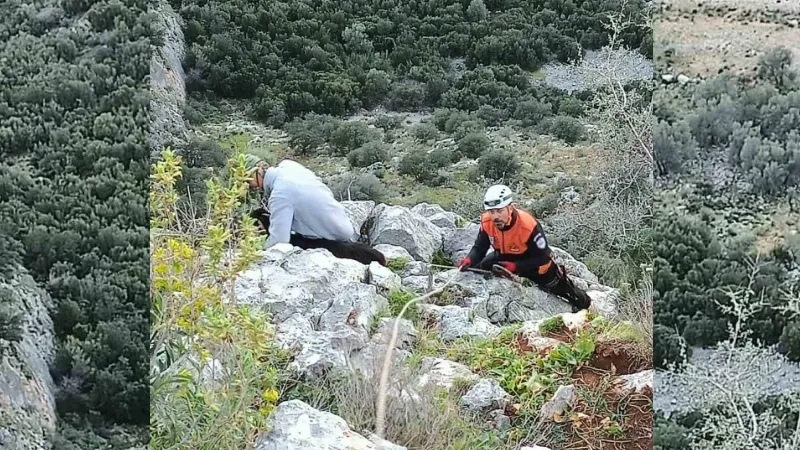 Kayalıkta mahsur kalan keçileri MAG AME ekibi kurtardı