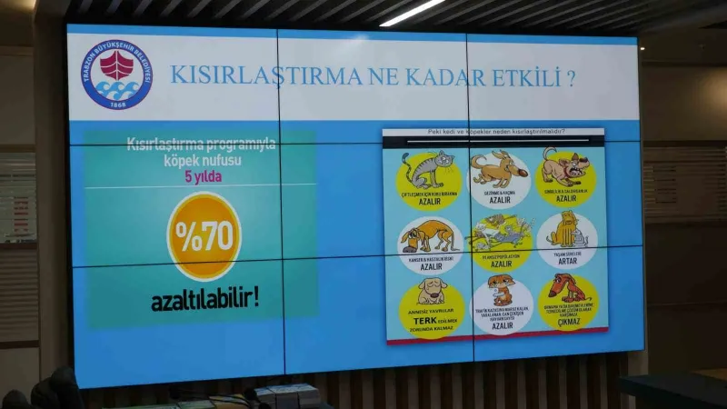 Trabzon’da başıboş köpeklerle topyekün mücadele için harekete geçildi