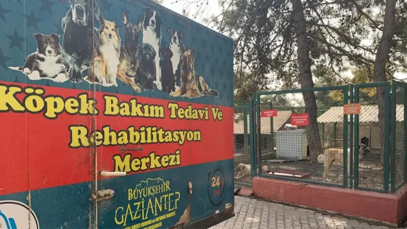 Gaziantep hayvan barınağı depremzede hayvanları sahipleniyor