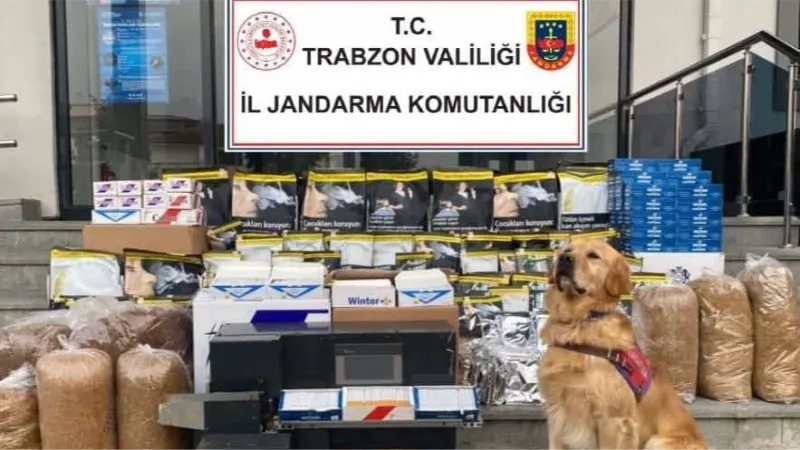 Jandarmadan kaçak sigara imalathanesine baskın