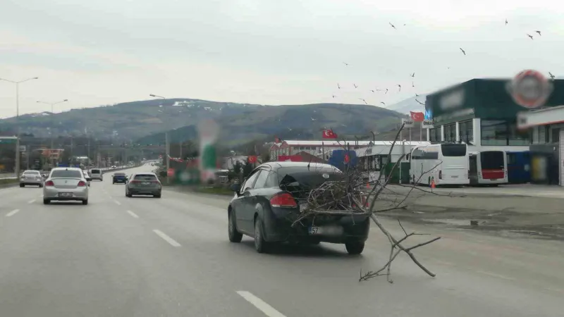 Otomobil ile yolda ağaç taşıdı, trafiği tehlikeye düşürdü