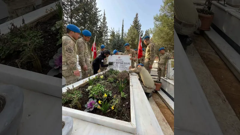 Depremde tahrip olan şehitliği, komandolar ve AFAD onardı