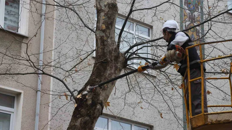 Kartal’da Bahara hazırlık için binlerce ağaç budandı