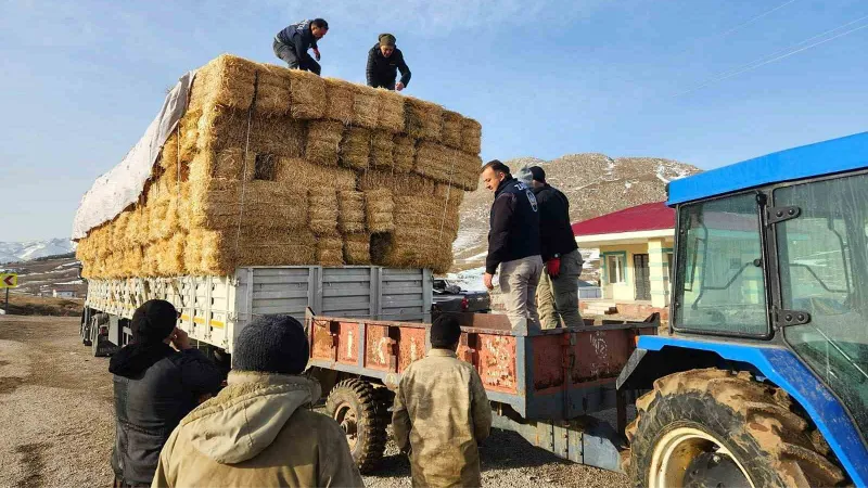 Konyaaltı’ndan deprem bölgesine yem ve saman desteği