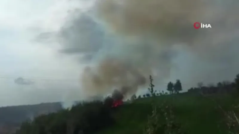 Osmaniye’de ormanlık alanda yangın çıktı