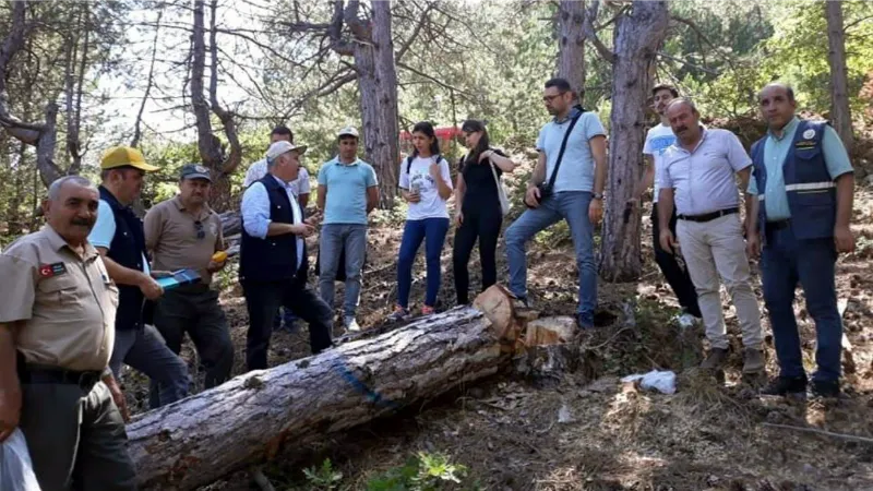 Oduncu babanın 3 çocuğu ve damadı ‘orman mühendisi’