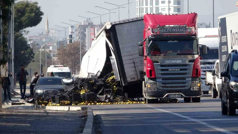 Dorse çıktı ürünler yola saçıldı