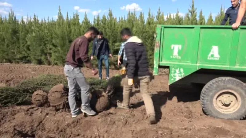 Depremde hayatını kaybeden sağlıkçılar adına meslektaşları hatıra ormanı oluşturdu