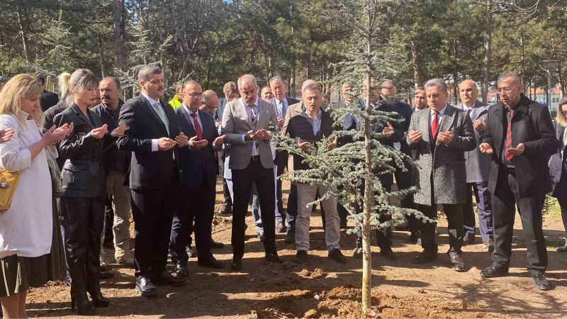 Gazi Üniversitesi depremde hayatını kaybeden öğrencilerini fidanlarda yaşatacak