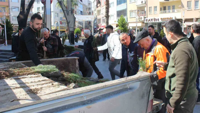 Türkeli’de vatandaşlara 6 bin fidan dağıtıldı