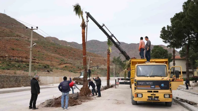 Marmaris’te palmiyeler toprakla buluştu