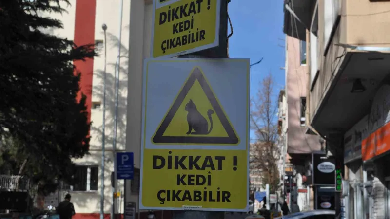 Hız yapan duyarsız sürücüler için “Dikkat Kedi Çıkabilir” yazılı önlem