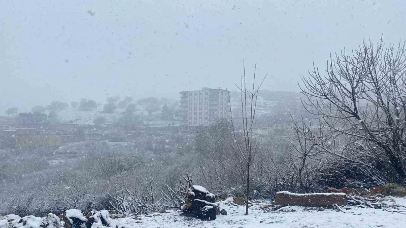 Diyarbakır’da etkili olan kar yağışı çiftçiyi hem sevindirdi hem de korkuttu