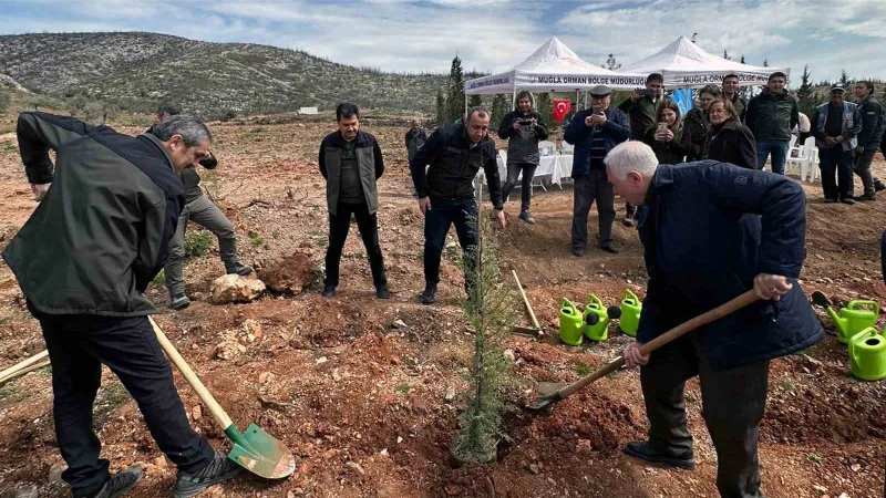 Emekli Orman Mühendisine “Vefa Ormanı’