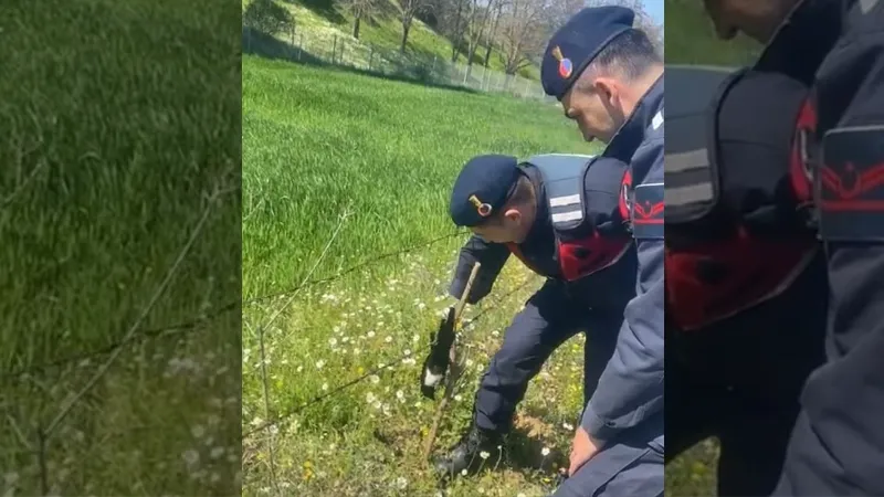 Tele takılan saksağanı jandarma kurtardı