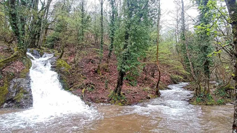 Kuraklık alarmı veren Kazdağları’ndan sevindiren görüntü