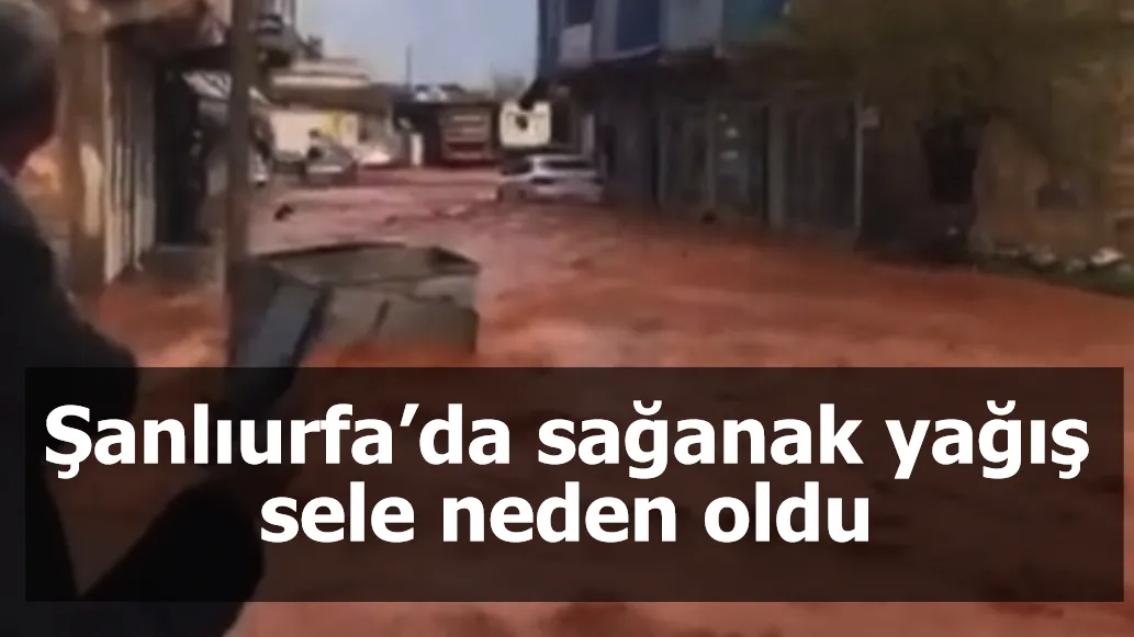 Şanlıurfa’da sağanak yağış sele neden oldu