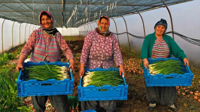 Bu seralar bir başka