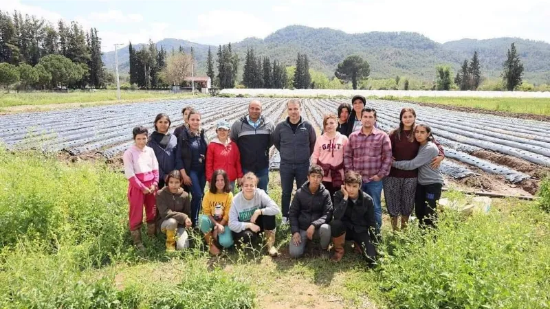 Köyceğiz’de öğrenciler çilek yetiştiriciliğine başladı