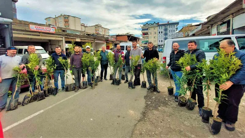 Altınordu’da 2 yılda 341 bin fidan toprakla buluşturuldu