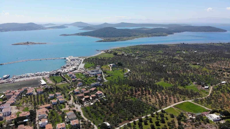 Cunda Adası "kesin korunacak hassas alan" ilan edildi