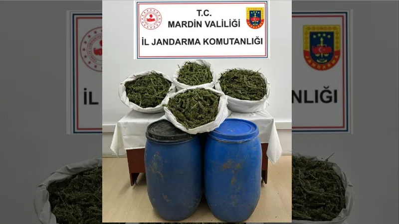 Jandarmadan zehir tacirlerine operasyon: 28 buçuk kilo esrar ele geçirildi