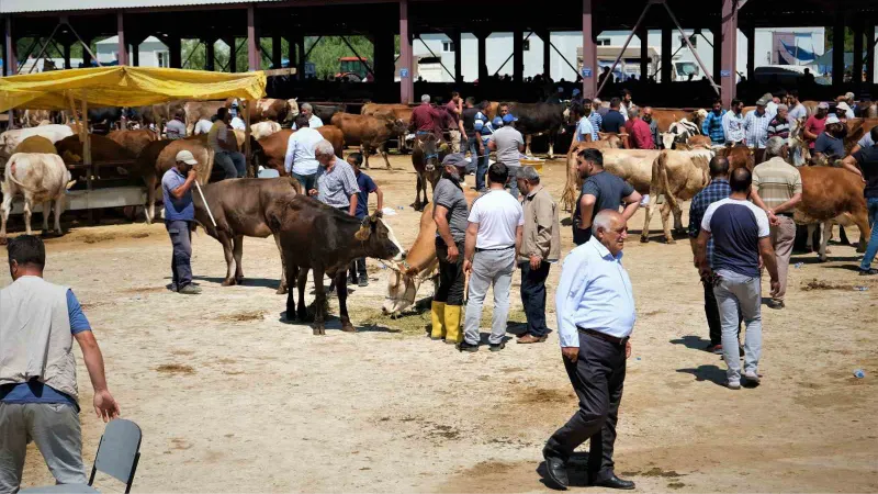 Hayvan hareketleri kısıtlaması 28 Nisan’da son buluyor