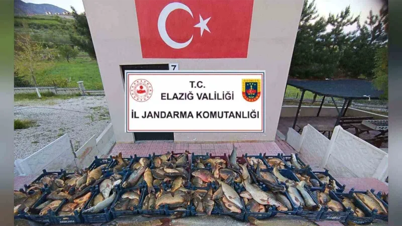 Elazığ’da kaçak balık avına 16 bin lira ceza