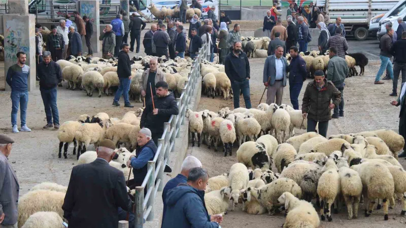 Et fiyatında düşüş bekleniyor