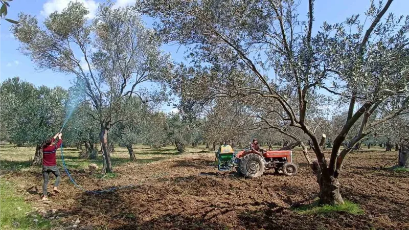 ’Halkalı leke hastalığı’ için ikinci ilaçlama uyarısı