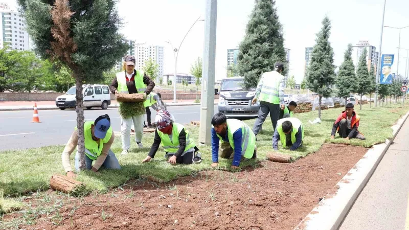 Diyarbakır’da kavşak ve refüjlerde peyzaj çalışmaları devam ediyor