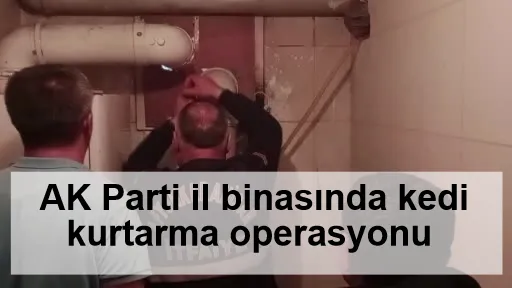 AK Parti il binasında kedi kurtarma operasyonu