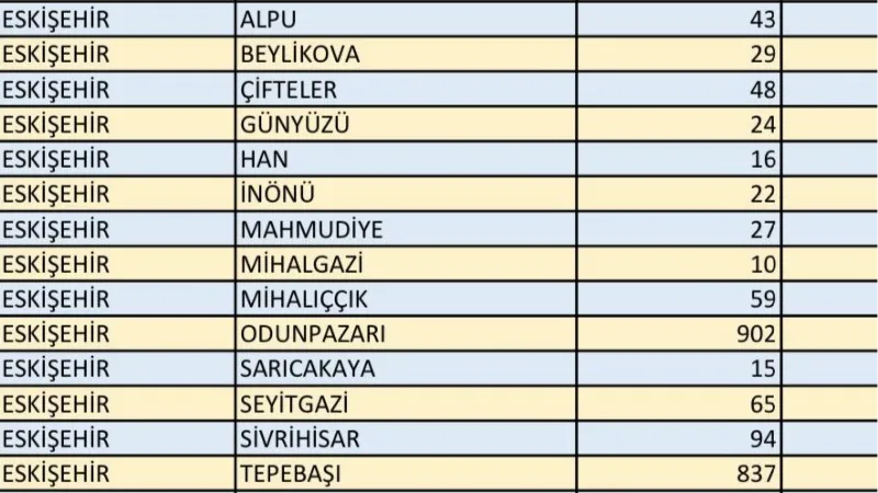 Eskişehir’de 688 bin 989 seçmen 2 bin 191 sandıkta oy kullanacak