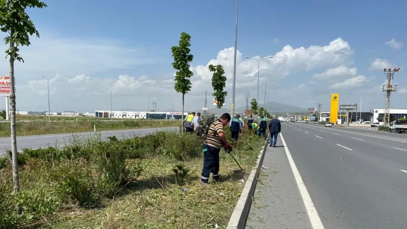 Kayseri’de Yabancı Otlarla Mücadele