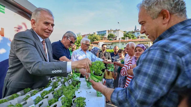 Denizli fesleğen kokacak