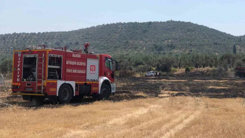 Burhaniye’de otluk alanda yangın