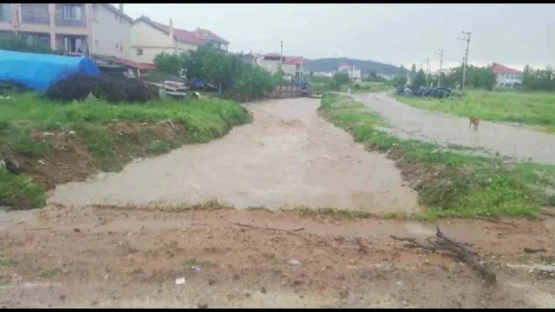 Eşme’de yağış hayatı olumsuz etkiledi