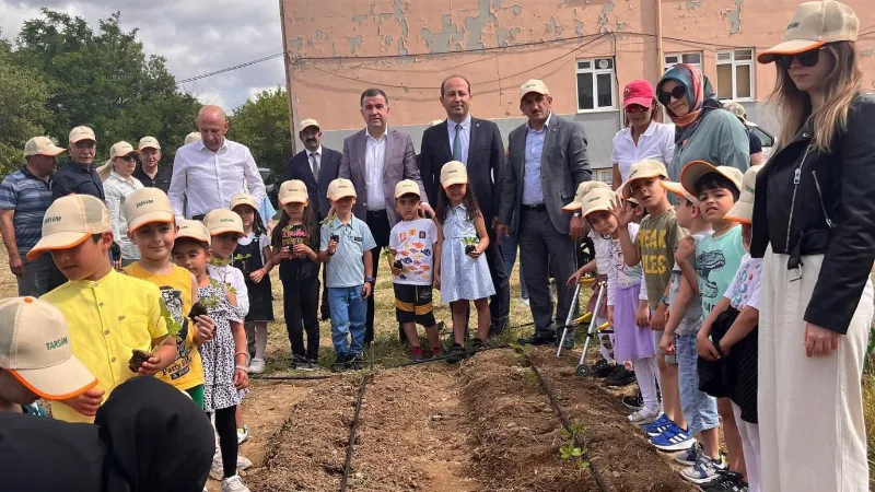 Okulda çilek dikmeyi öğrendiler