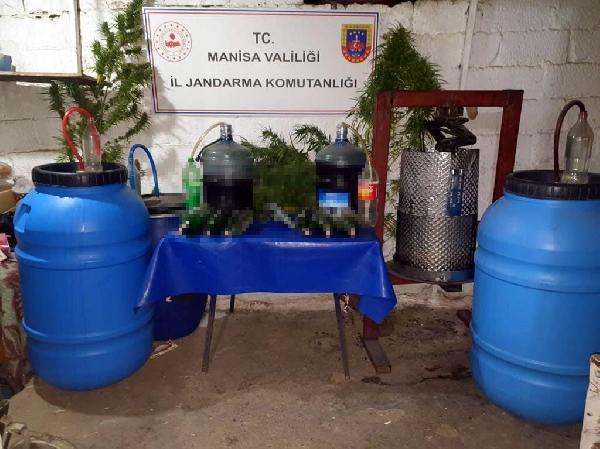Evinde 17 kök Hint keneviri ve 480 litre sahte şarapla yakalandı