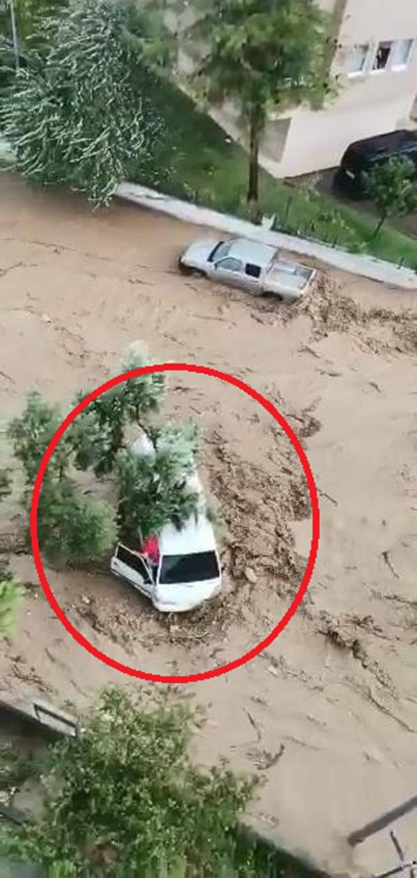 Selde zeytin ağacına takılarak ölümden dönen aile: Kurtulabileceğimizi tahmin etmiyorduk