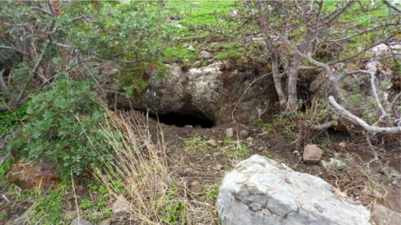 Muğla'da kaçak tarihi eser kazısına suçüstü