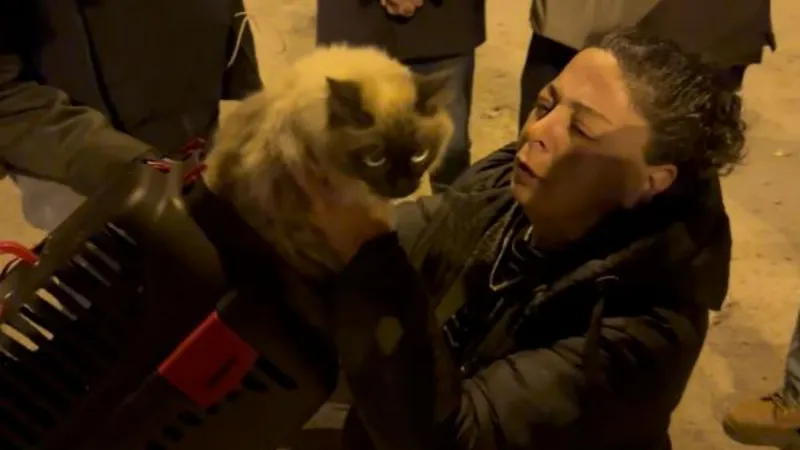Diyarbakır’da yıkımı durdurulan Galeria Sitesi’ndeki kedilerden biri daha kurtarıldı