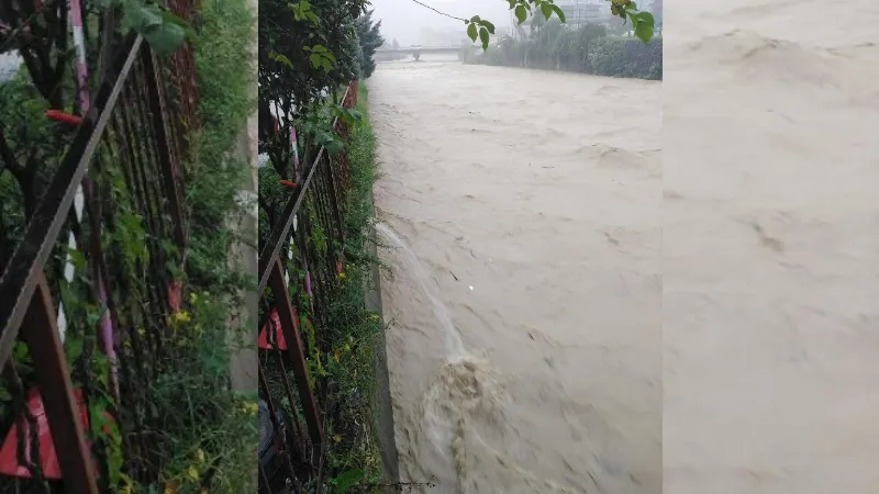 Artvin'de sağanak; ev ve iş yerlerini su bastı