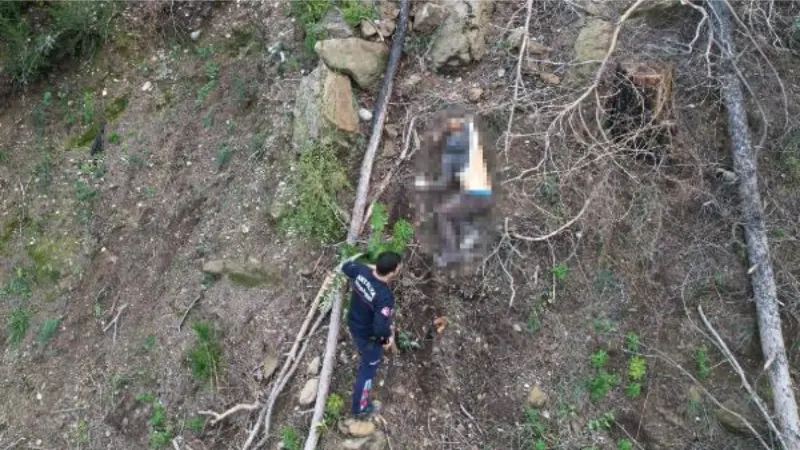 Ağaç keserken 70 metrelik uçurumdan yuvarlanıp öldü