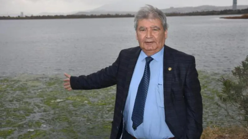 Prof. Dr. Yaşar: İzmir'de tüm zamanların en uzun süreli deniz marulu görülüyor